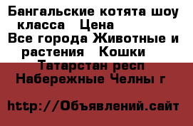 Бангальские котята шоу класса › Цена ­ 25 000 - Все города Животные и растения » Кошки   . Татарстан респ.,Набережные Челны г.